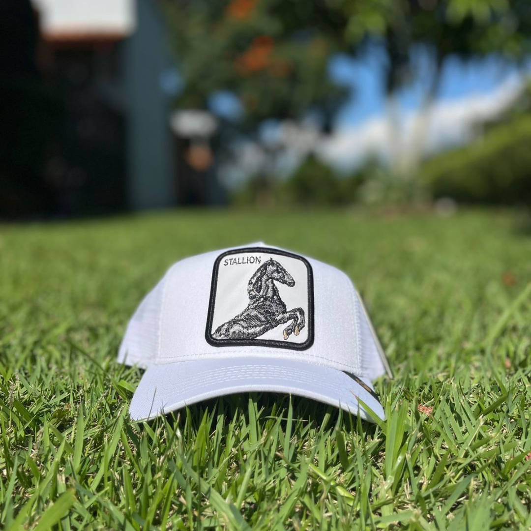 Gorra Trucker Stallion Blanca — Parche Caballo
