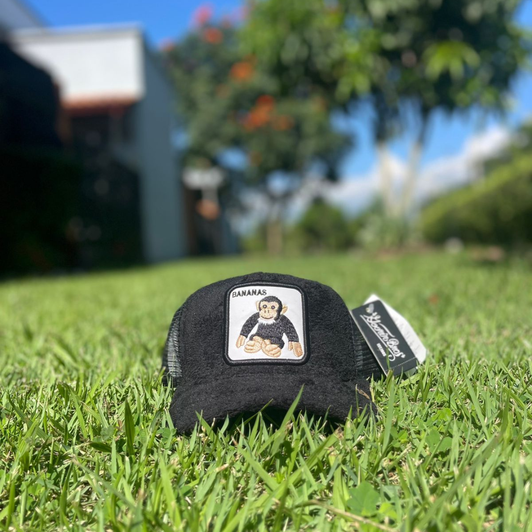 Gorra Trucker Bananas Mono Negra — Felpa Premium